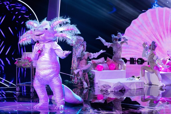 30.10.2021, Nordrhein-Westfalen, Köln: Die Figur &quot;Das Axolotl&quot; steht in der Prosieben-Show &quot;The Masked Singer&quot; auf der Bühne. Foto: Rolf Vennenbernd/dpa +++ dpa-Bildfunk +++