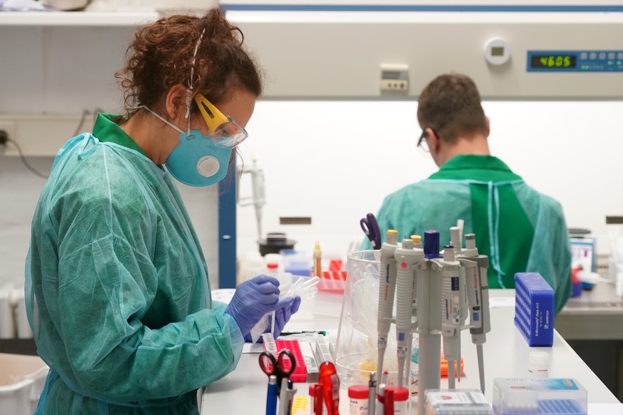 BERLIN, GERMANY - MARCH 30: Technicians test patient swabs for possible coronavirus infection in a specialized lab room at the IFLb medical lab on March 30, 2020 in Berlin, Germany. The IFLb lab is cu ...