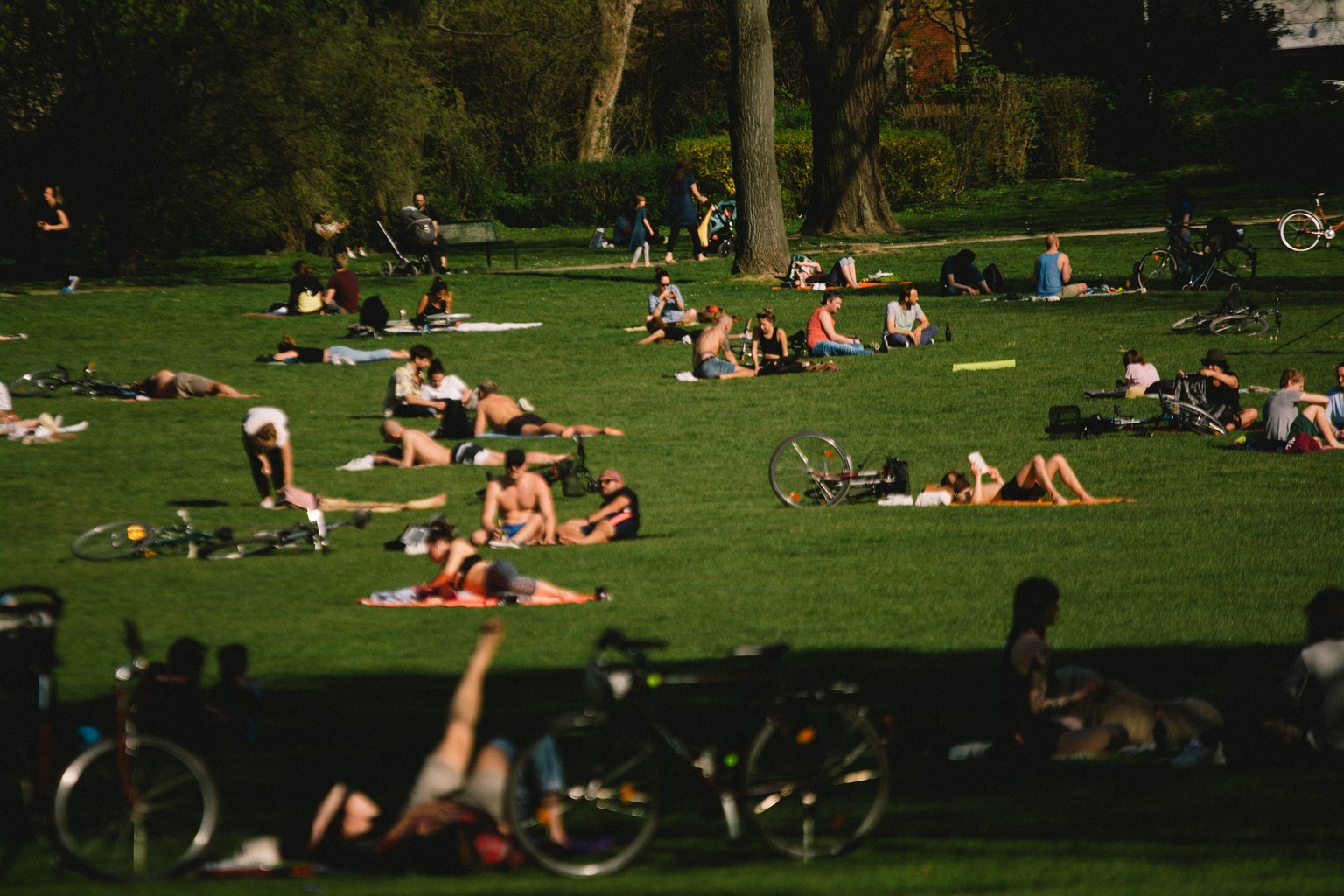 Menschen in einem Park in Köln.