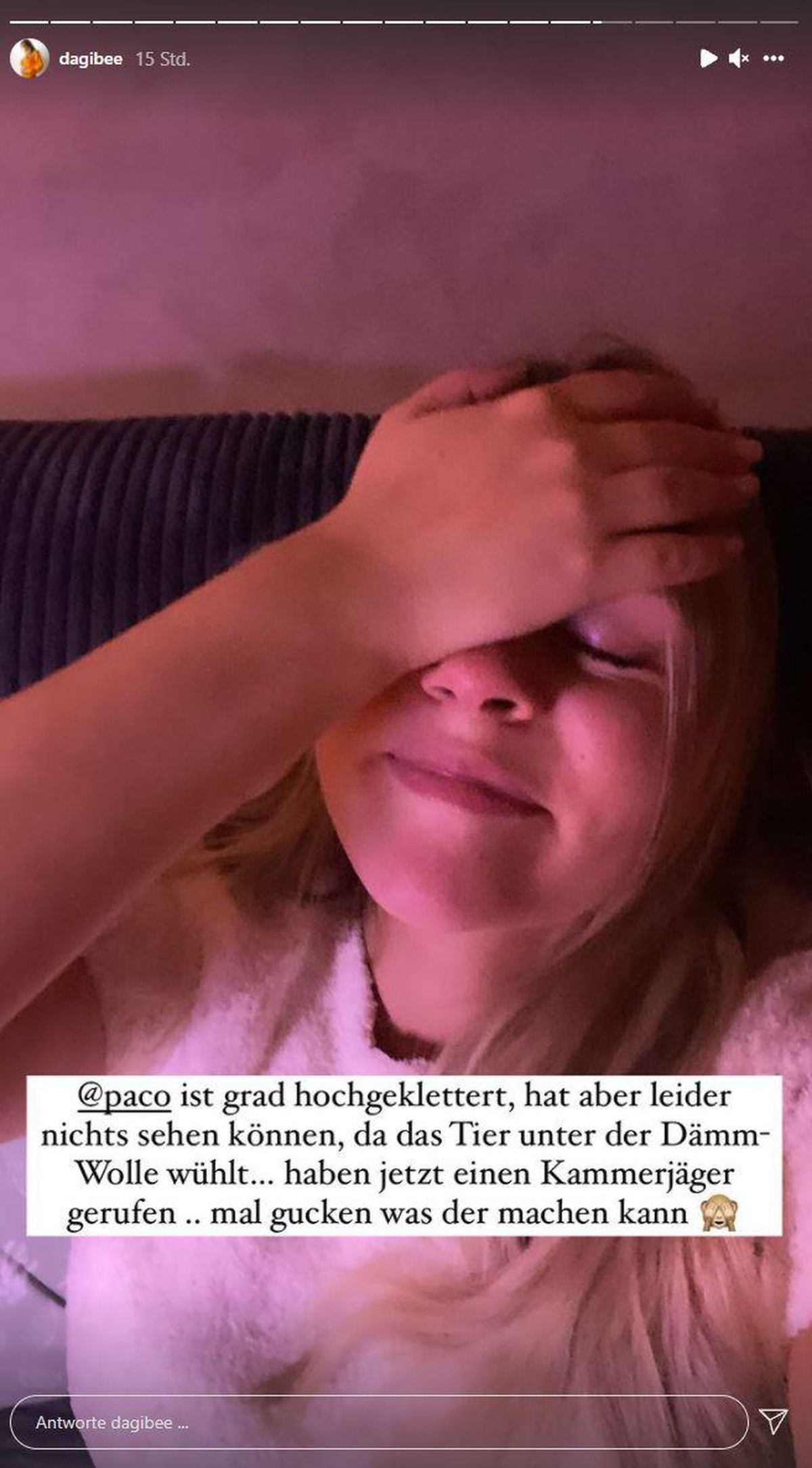 Ein Freund von Dagi erkannte, dass sich das Marder-Problem nicht ohne Weiteres lösen würde.