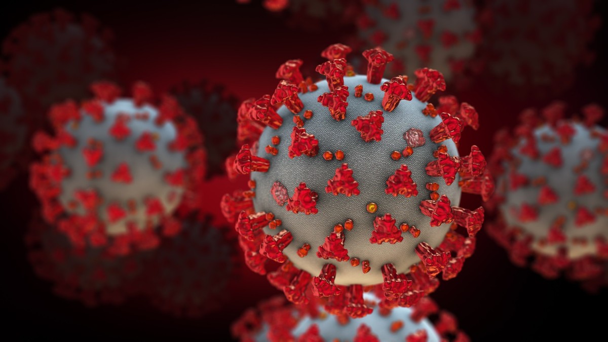 Coronavirus or SARS-CoV-2 or COVID-19 virus