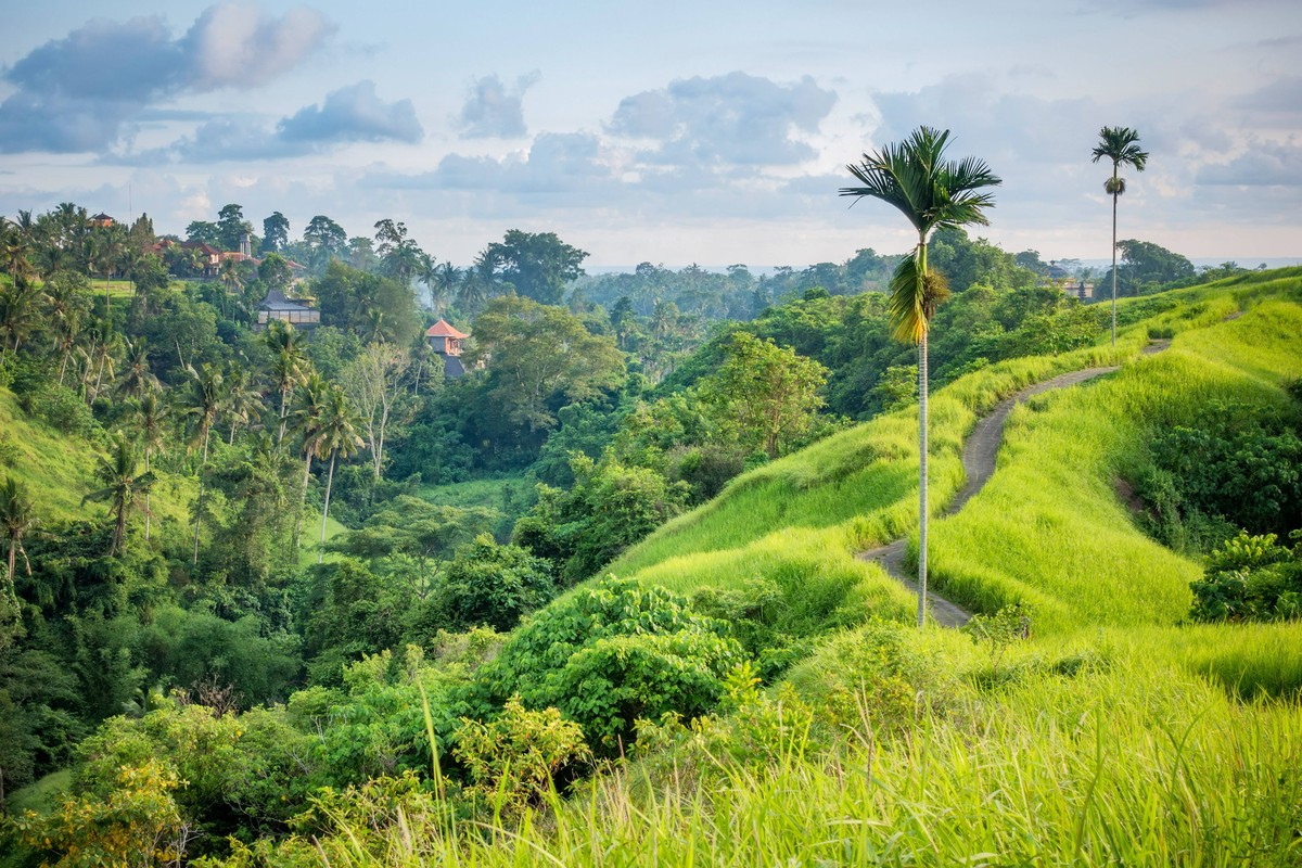 Kleinstadt Ubud in der huegeligen Landschaft von Bali, Indonesien, Bali, Ubud View of the village of Ubud in the hilly ladscape of the island of Bali, Indonesia, Indonesia, Bali, Ubud BLWS516811 Copyr ...