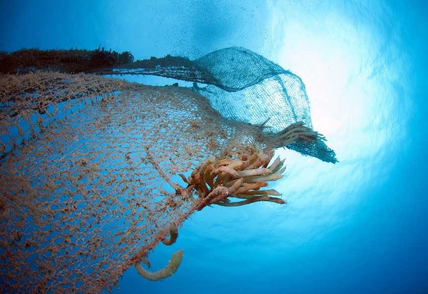 Geisternetze sind ein großes Problem für das Ökosystem Meer.