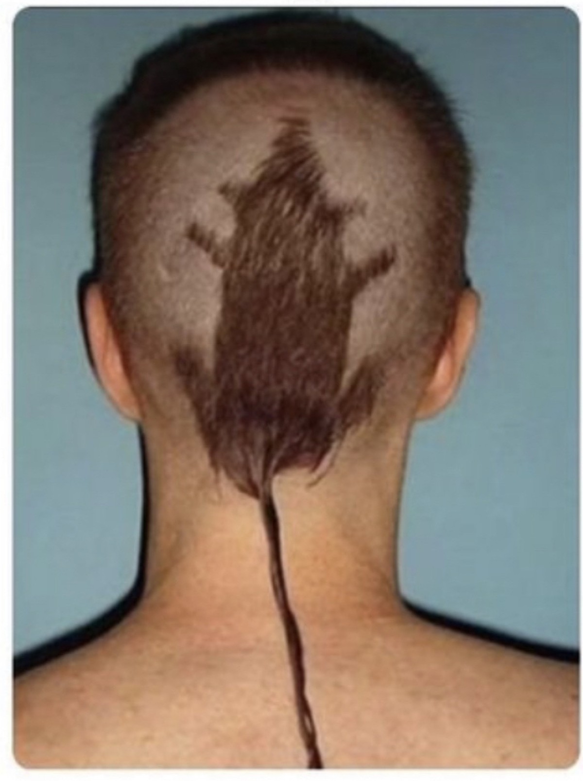 Es gibt viele Frisuren, die wirklich nicht schön sind. Manche von ihnen haben allerdings einen ganz besonderen Charaker.. Hier zeigen wir 17 Frisuren-Fails, die es in sich haben, dich aber vielleicht  ...