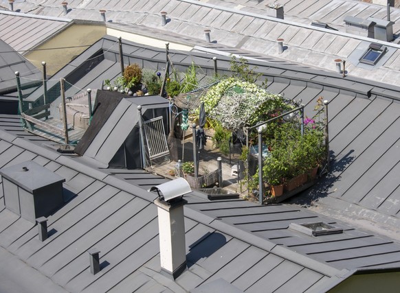 Urban rooftop garden . Green oasis on the top of the roof. Salzburg. Austria.