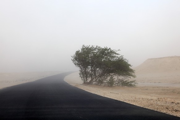 Sandstorm in the desert of Qatar, Middle East