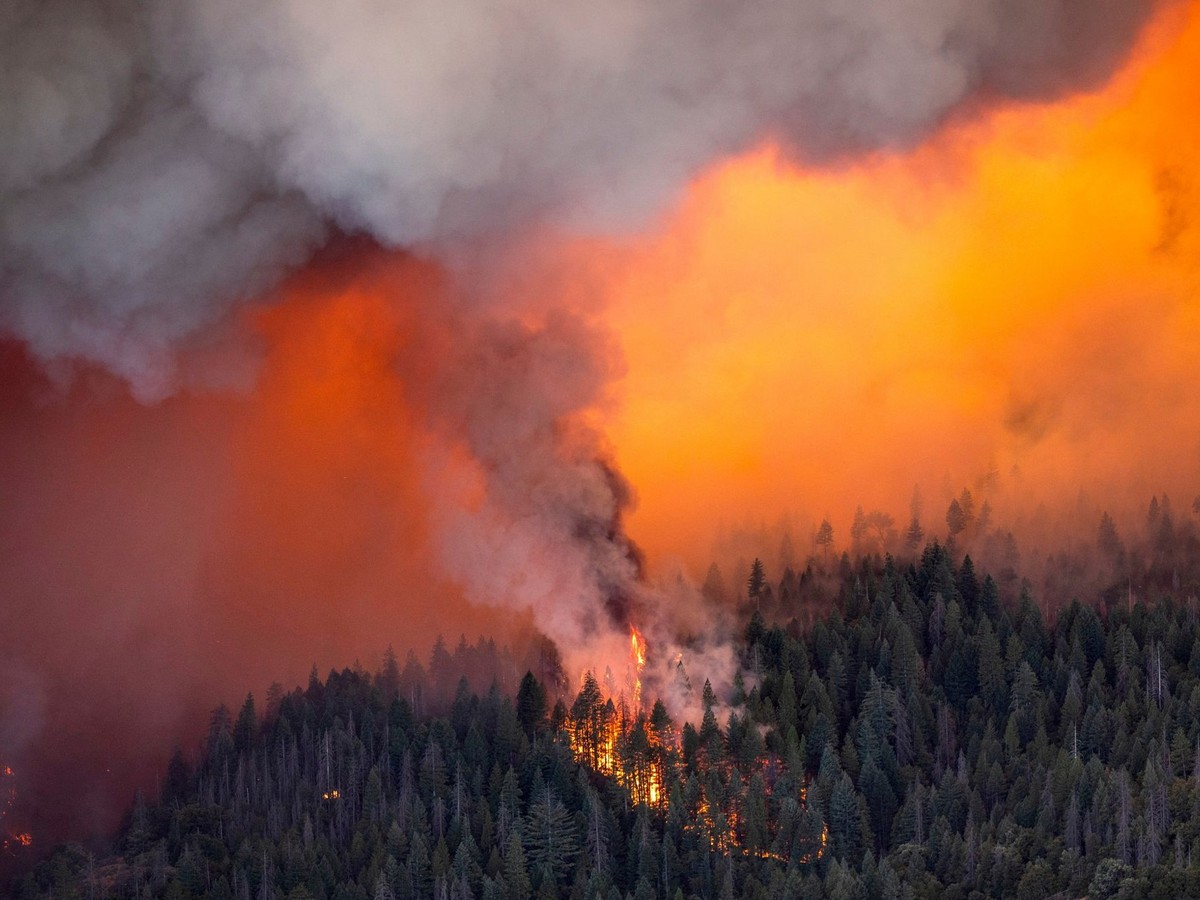 26.07.2024, USA, Butte County: Glut entfacht einen Brandherd, als das Park Fire unterhalb des Highway 32 in der Nähe von Lomo in Butte County, Kalifornien, brennt. Foto: Noah Berger/AP/dpa +++ dpa-Bil ...