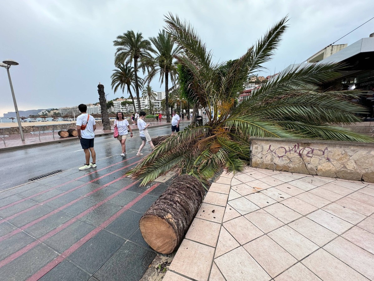 20240814 Unwetter Mallorca SANTA PONSA, SPAIN - AUGUST 14 2024 : Unwetter Sch
