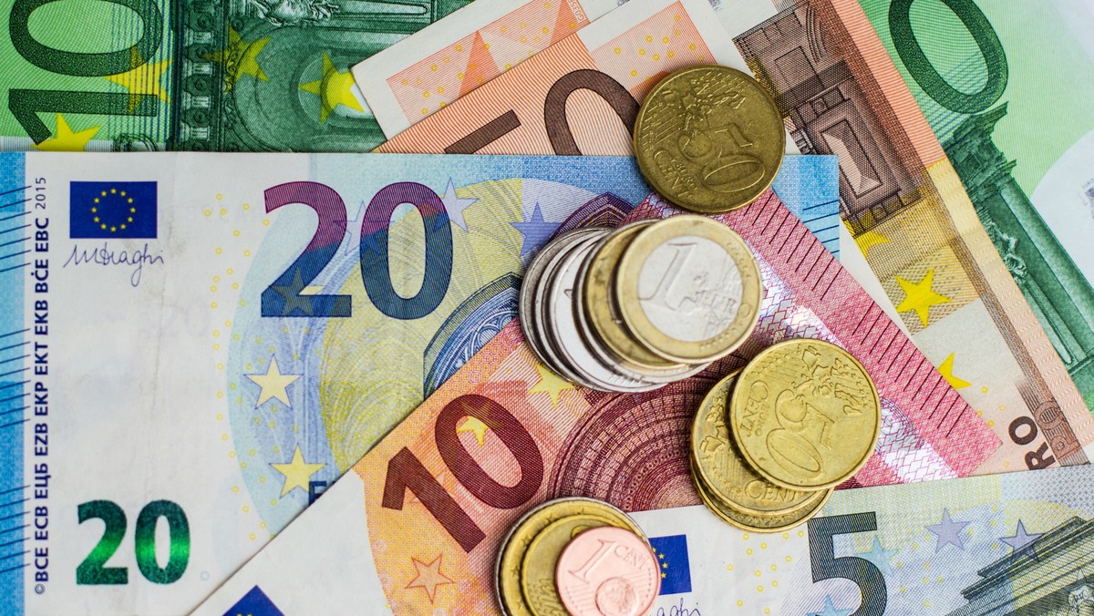 euro bills and coins - cash money