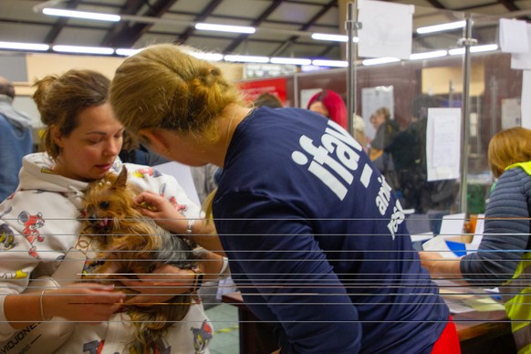 The Premysl train station houses a refugee center and veterinary post where Ukrainian refugees&#039; pets are examined and treated.