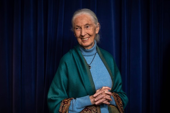 April 3, 2019 - Los Angeles, California, U.S. - Los Angeles City Council honors JANE GOODALL on her 85th birthday at Los Angeles City Hall on Wednesday. Goodall, who is known for her work with chimpan ...