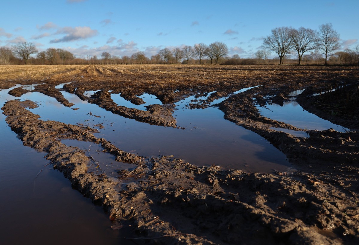 PRODUKTION - 06.01.2023, Schleswig-Holstein, Tangstedt: Regenwasser steht auf einem Acker bei Tangstedt. In den vergangenen zwei Wochen ist in Schleswig-Holstein flächendeckend mehr als 75 Liter Niede ...