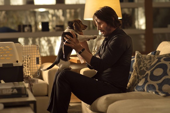 RELEASE DATE: October 24, 2014 TITLE: John Wick STUDIO: Lionsgate DIRECTOR: Chad Stahelski, David Leitch PLOT: An ex-hitman comes out of retirement to track down the gangsters that took everything fro ...