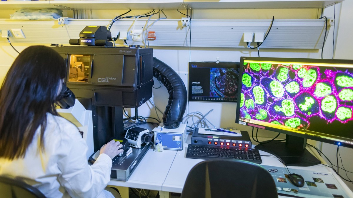 Sächsisches Forschungs- und Herstellernetzwerk für Radiopharmaka Staatsministerin Petra Köpping und Staatsminister Martin Dulig informieren sich im Zentrum für Radiopharmazeutische Tumorforschung des  ...
