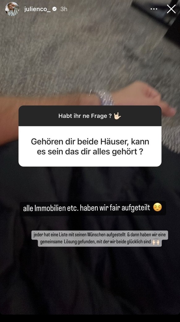 Julian verrät zudem, wie sie ihre Immobilien aufgeteilt haben.