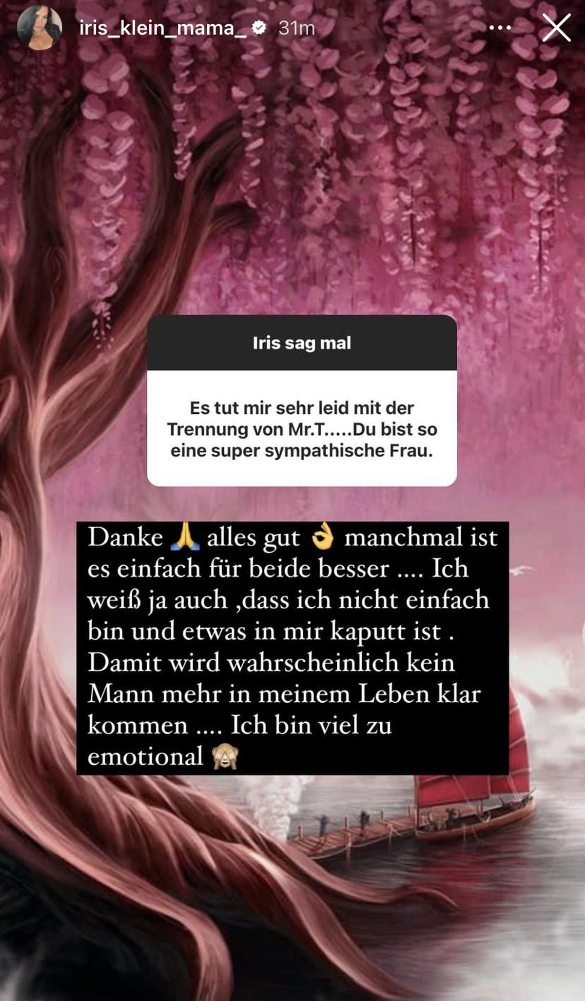 Iris äußert sich auch zu den Trennungsgründen.