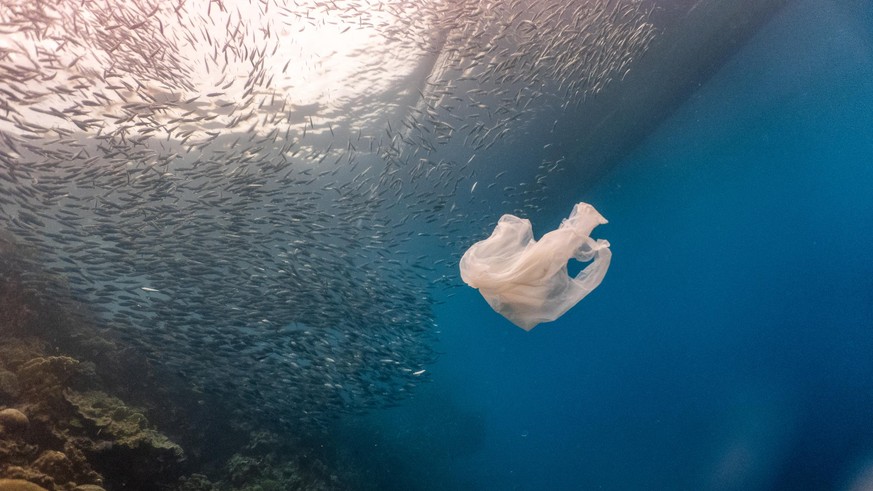 umwelt recycling datenschutz restmüll 2020 deutschland gesellschaft kontakt leben verpackungen tonne politik abfälle mülltrennung inhalt richtig 
so ein müll