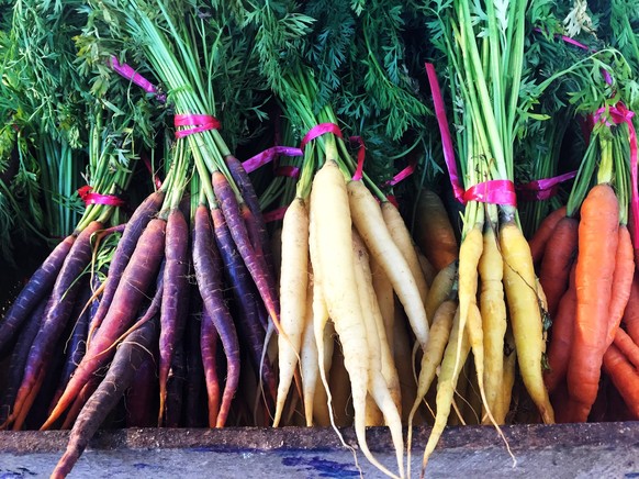 Karotten gibt es in unterschiedlichen Farben und sie haben je nach Region auch ganz unterschiedliche Namen, wie Gelbe Rübe, Karotte oder Möhre.