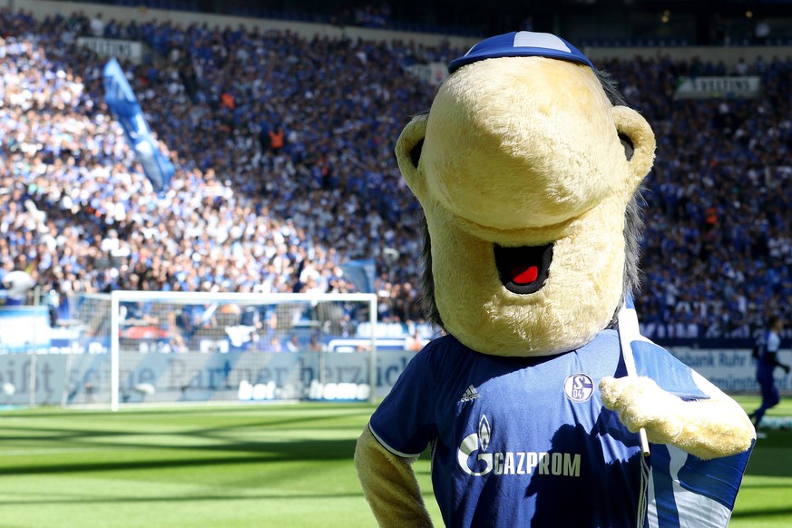 Schalkemaskottchen Erwin beim BL-Spiel (Saison 2017/18) FC Schalke 04 - Borussia Dortmund. Copyright: Thomas Pakusch *** Schalke mascot Erwin at the BL game season 2017 18 FC Schalke 04 Borussia Dortm ...