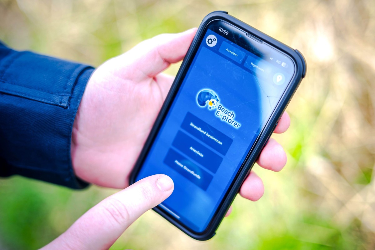 ILLUSTRATION - 28.03.2024, Niedersachsen, Schillig: Die App "Beach Explorer" wird auf einem Smartphone angezeigt. Der BeachExplorer bietet Bestimmungshilfen und Wissenswertes �ber Strandfund ...