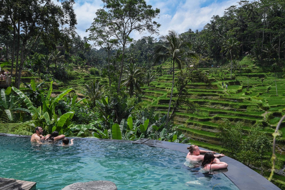 Ceking Rice Terrace a cote de Ubud a Bali. Pittoresque colline en terrasses, rizieres et vegetation luxuriante, tyroliennes, balancoires dans la jungle. NEWS : Illustration Bali - 15/04/2024 LionelUrm ...
