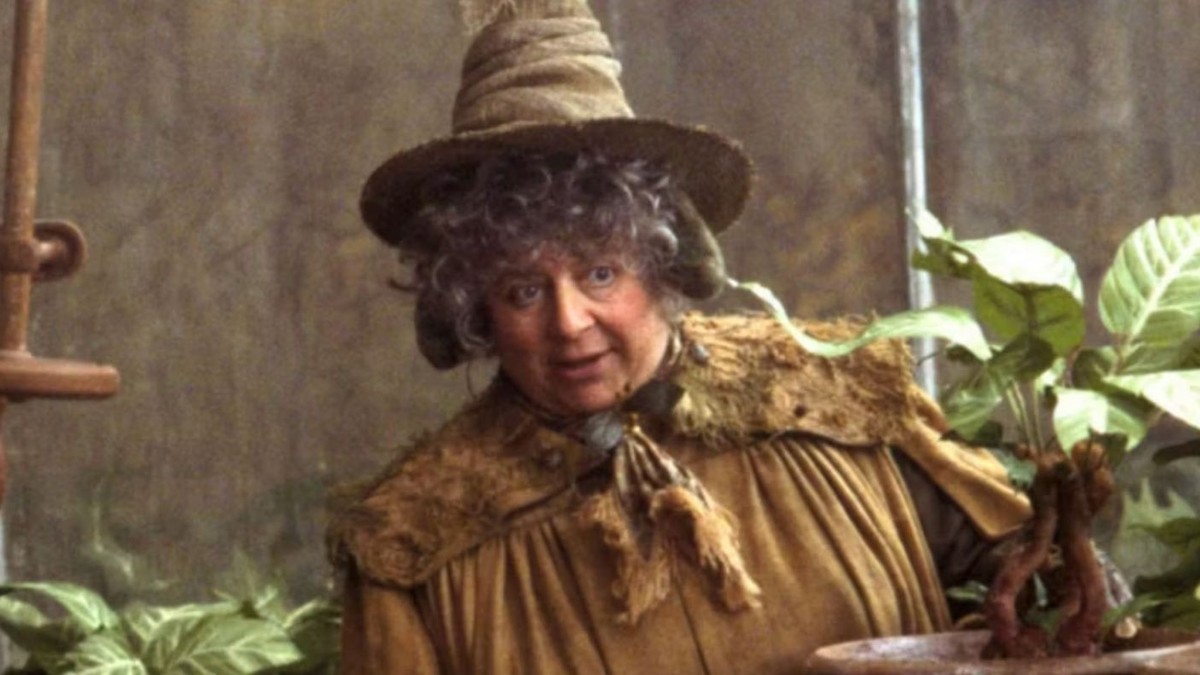 Miriam Margolyes war von 2001 bis 2011 in der "Harry Potter"-Reihe zu sehen.