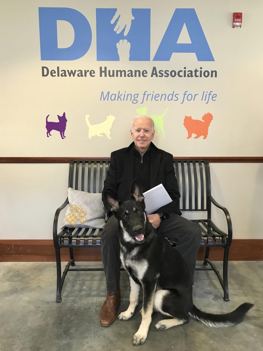 HANDOUT - 16.11.2018, USA, Wilmington: Joe Biden, damaliger Vizepräsident der USA, und sein neu adoptierter Deutscher Schäferhund Major sitzen im Tierheim DHA. Mit «Major» könnte dem Portal «Buzzfeed» ...