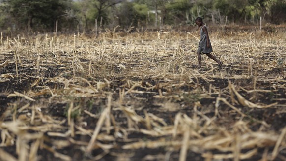 ARCHIV - SYMBOLBILD - Ein Mädchen läuft über ein verdorrtes Maisfeld bei Kitui County im Südosten Kenias, 22. März 2015. Klimawandel bedeutet für einige Regionen: Es wird heißer und trockener, auf den ...