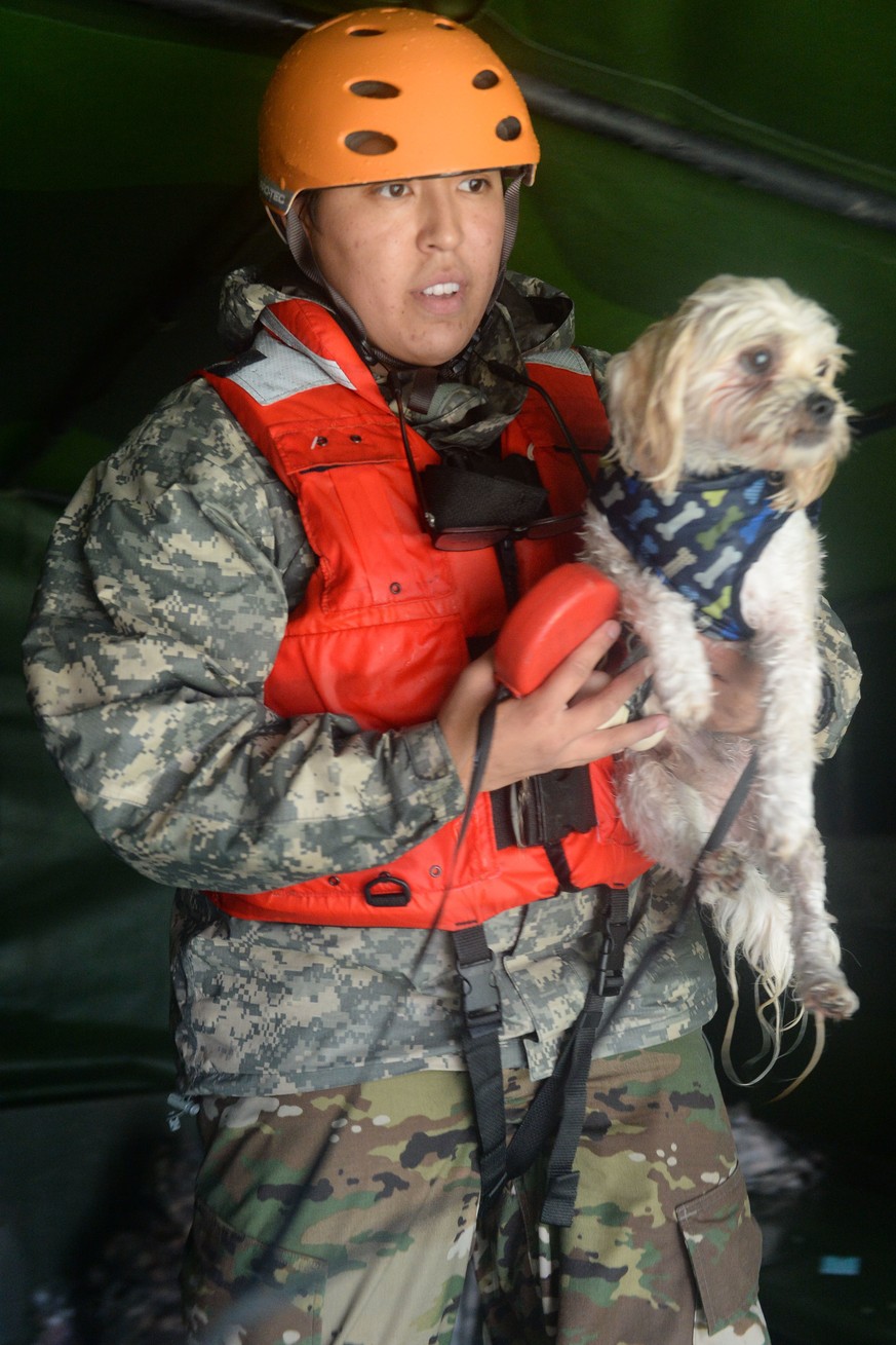 August 28, 2017 - Cypress, TX, United States - A Texas National Guard soldier holds a rescued dog as guardsmen and volunteer fire and rescue personnel evacuate residents and their pets trapped by floo ...