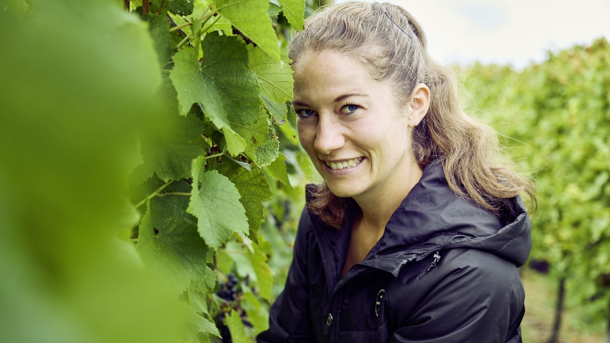 luisa wein winzerin winzer supermarkt alkohol