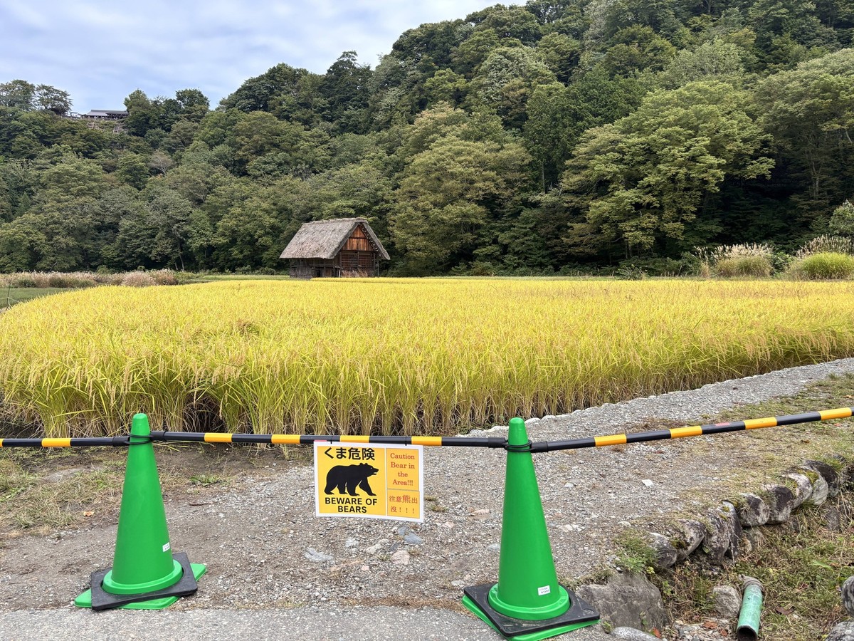 HIDA, JAPAN - OCTOBER 07: A warning sign is seen at the closed walking trail to the observatory in the Shirakawago district, a UNESCO World Heritage site, on October 7, 2025 in Hida, Gifu Prefecture o ...