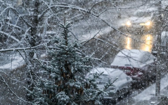 05.01.2024, Berlin: Schnee bedeckt in einer Straße in Karlshorst parkende Autos, Straßen und Gehwege. Foto: Jens Kalaene/dpa +++ dpa-Bildfunk +++