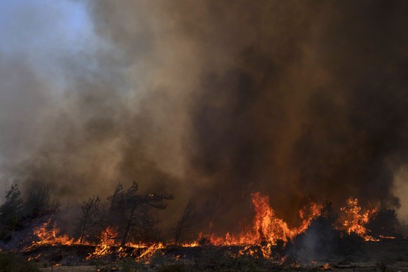 25.07.2023, Griechenland, Rhodos: Nahe der Ortschaft Vati im Süden der Insel Rhodos steht ein Wald in Flammen. In Griechenland toben Waldbrände in zahlreichen Regionen. Die Brandgefahr in fast allen R ...