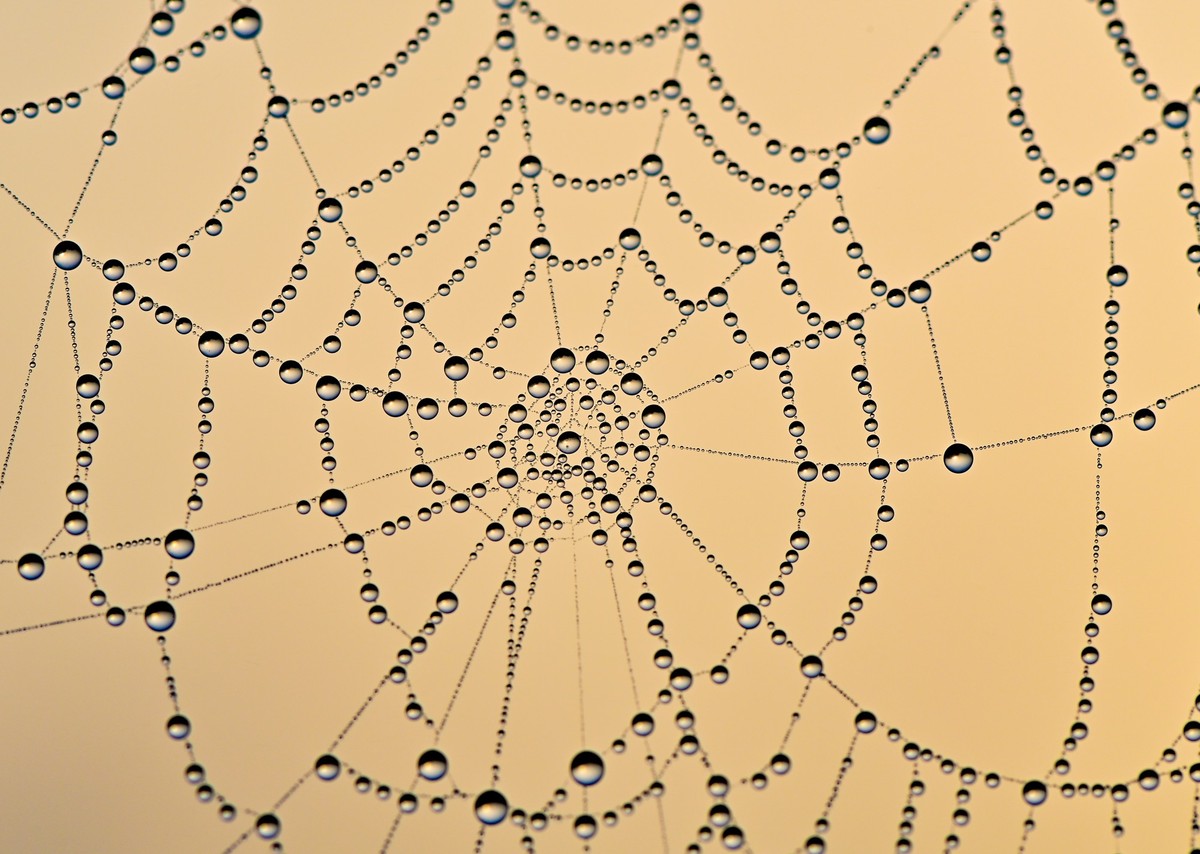 30.09.2022, Brandenburg, Frankfurt (Oder): Wie ein Kunstwerk funkelt kleine Tautr�pfchen in einem Spinnennetz am fr�hen Morgen. Mit Morgennebel und k�hlen Temperaturen hat der Herbst Einzug gehalten.  ...