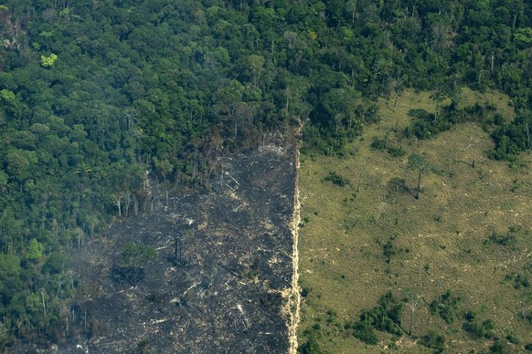 A scorched area of the Amazon rainforest is seen in the Biological Reserve Serra do Cachimbo, at the border with the Menkragnoti indigenous reserve of the Kayapo indigenous group in Altamira, Para sta ...