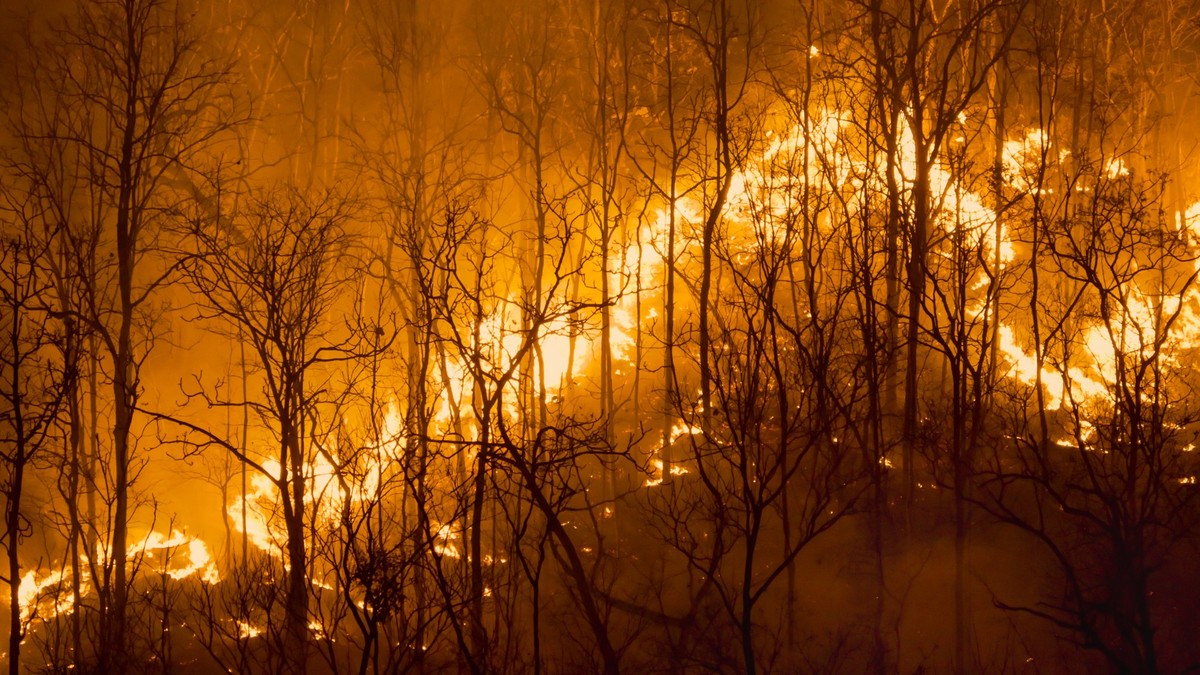 Climate change, Wildfires release carbon dioxide (CO2) emissions and other greenhouse gases (GHG) that contribute to climate change and global warming.