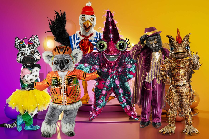 The Masked Singer Foto: (c) ProSieben Zebra, Koala, M