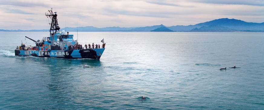 Die Organisation Sea Shepherd entfernt Geisternetze aus dem Meer.
