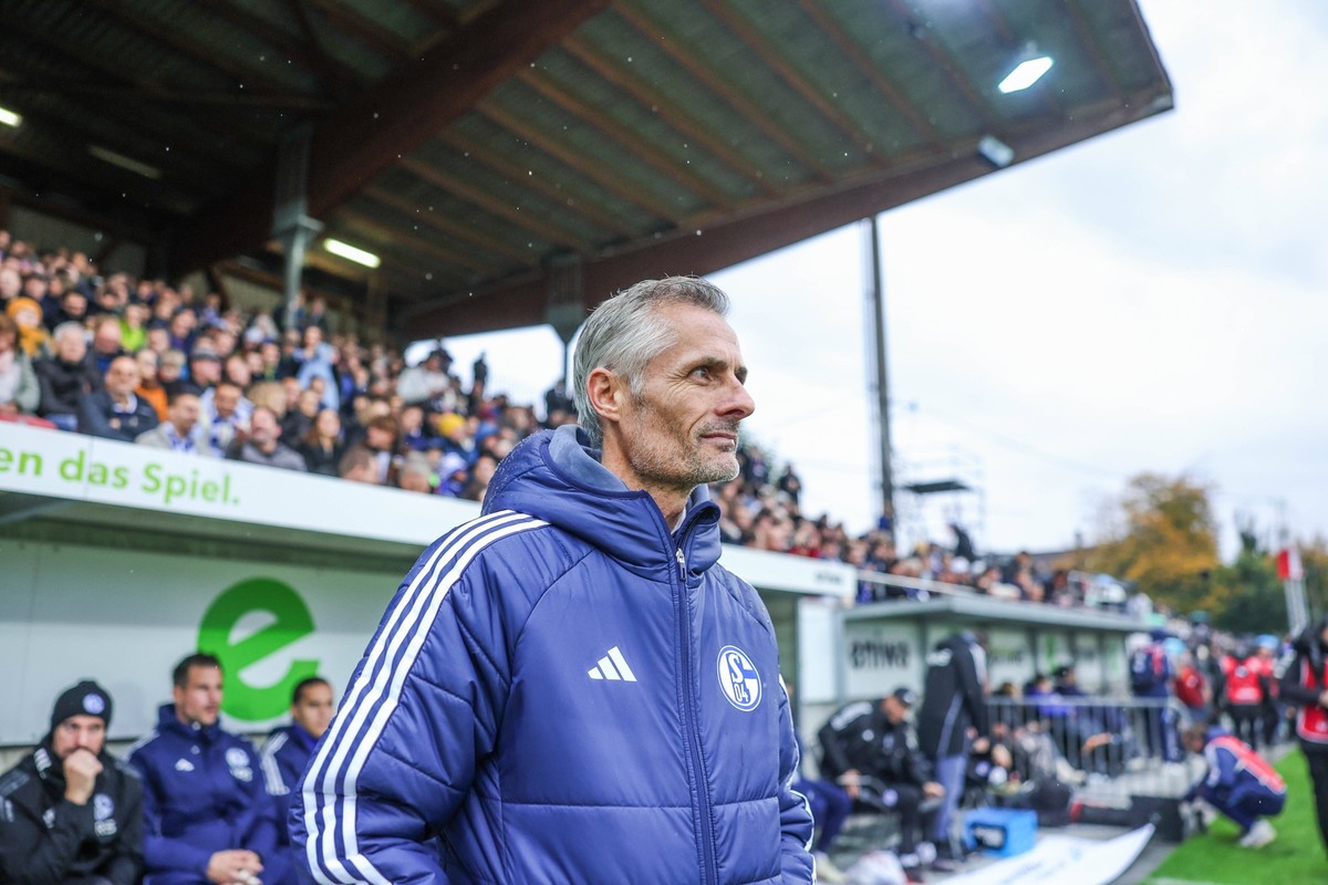 12.10.2024, Fussball, Saison 2024/2025, Testspiel, FC Aarau - FC Schalke 04, Cheftrainer Kees van Wonderen FC Schalke 04 Aarau Br�gglifeld Deutschland xRHR-FOTO/TRx *** 12 10 2024, Football, Season 20 ...