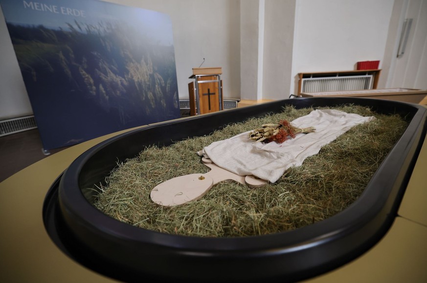 In Mölln und Kiel können Menschen auf nachhaltige Art und Weise begraben werden.