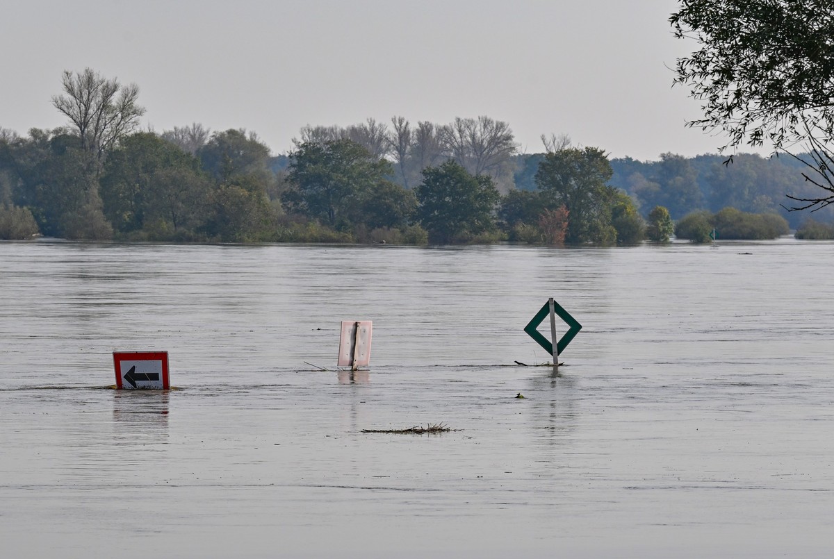 24.09.2024, Brandenburg, Ratzdorf: Schilder für die Schifffahrt stehen am Zusammenfluss der Neiße in den Fluss Oder, im Hochwasser. An diesem Mittag betrug der Wasserstand der Oder hier in Ratzdorf et ...