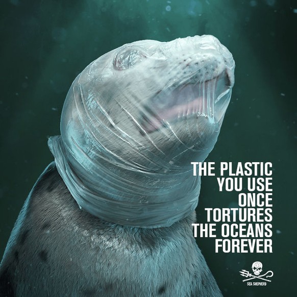 <a target="_blank" rel="nofollow" href="https://seashepherd.org/2019/03/07/sea-shepherd-uses-depictions-of-tortured-animals-to-fight-against-plastic-in-the-oceans/">Sea Shepherd</a>