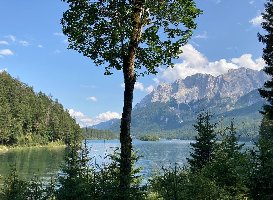 Tiefblaue Seen wie der Eibsee in Garmisch-Partenkirchen könnten schon bald der Vergangenheit angehören. Die Klimakrise sorgt für eine grün-braune Verfärbung des Wassers.