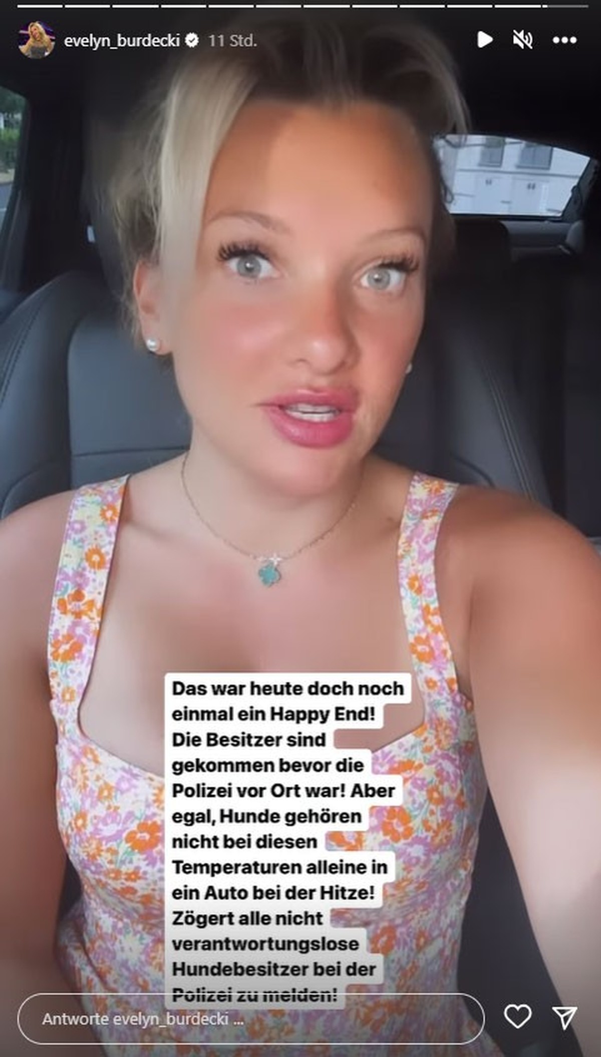 Evelyn Burdecki teilt ein Update zu der Hunde-Geschichte.