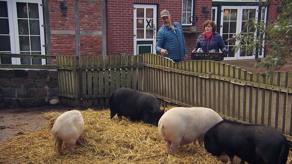 Uwe Abel ist nach wie vor Schweine-Fan.