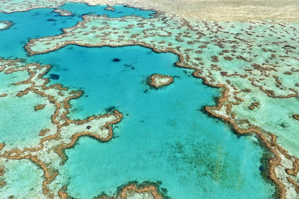 Heart Reef. Hardy reef. Great Barrier Reef. Queensland. Australia - Date: 03 - 09 - 2023 Model Released Property Released xkwx Aerial photography Algae Any Vision Azure Bird&#039;s-eye view Caribbean  ...