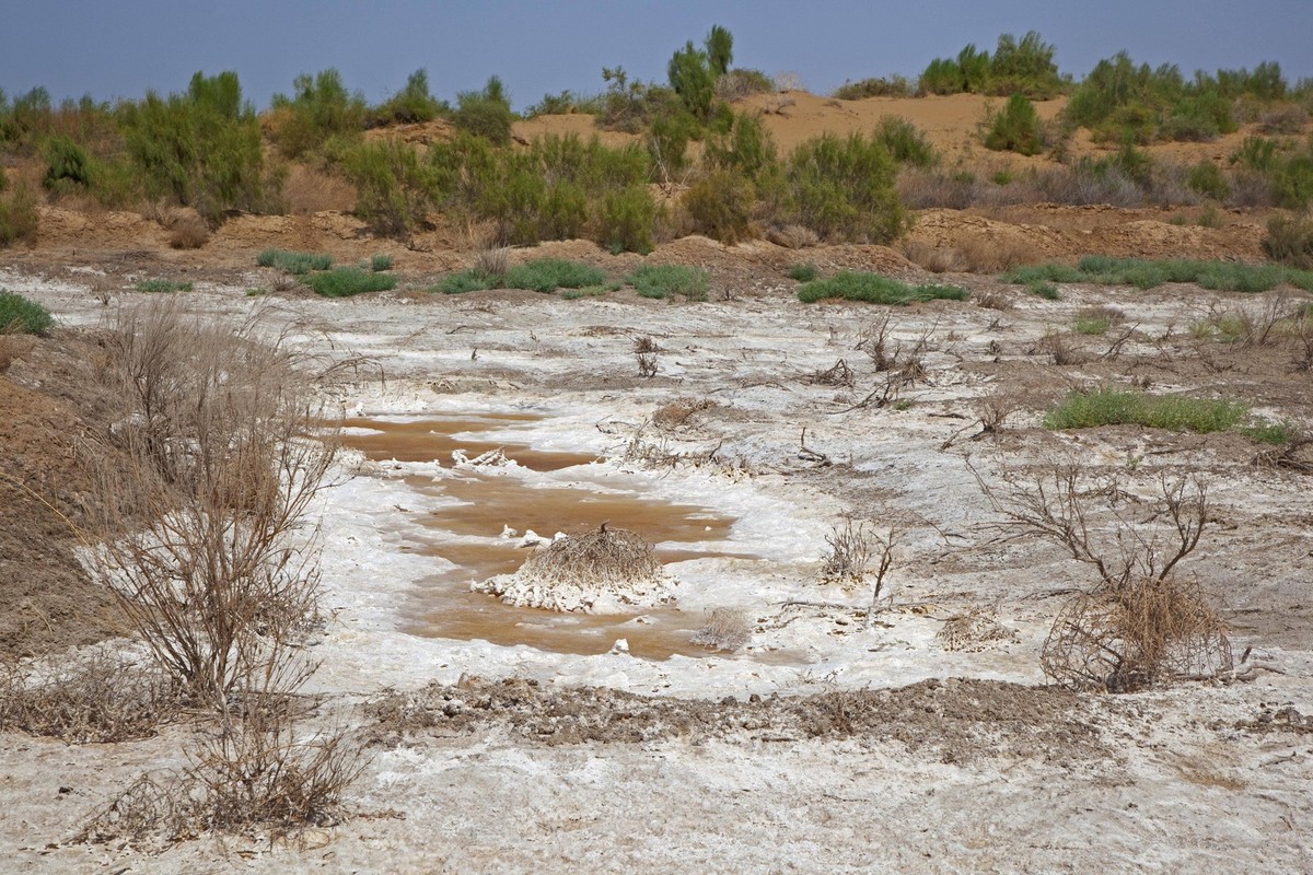 Salzablagerung in der Karakumwüste Turkmenistan *** Salt deposit in the Karakum Desert Turkmenistan Copyright: imageBROKER/alimdix/xArterrax/xMaricaxvanxderxMeer ibltsm09920233.jpg Bitte beachten Sie  ...