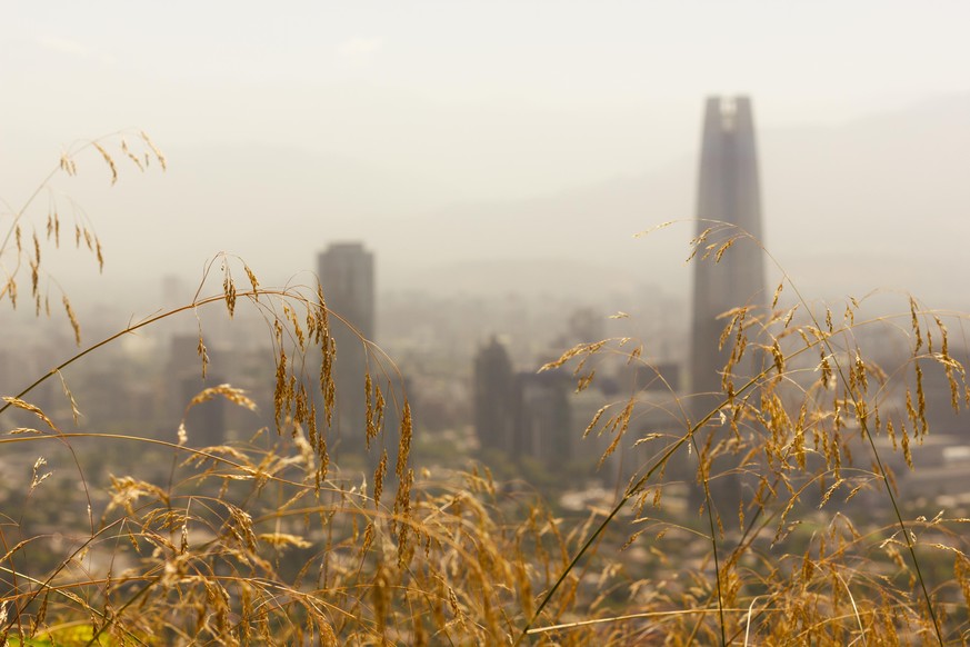 Brown grass with Santiago cityscape on background in sunny, summer day. Capital of Chile urban landmark concept