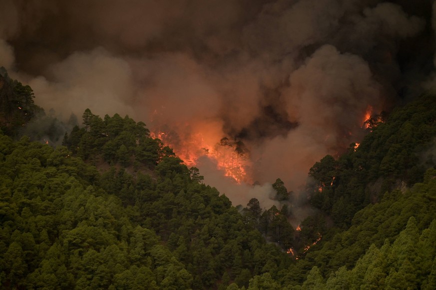 Tenerife Wildfire Prompts Evacuations And Road Closures Flames, in the bush, from a forest fire, on August 16, 2023, in Tenerife Spain. Last night a forest fire broke out in Tenerife between the towns ...