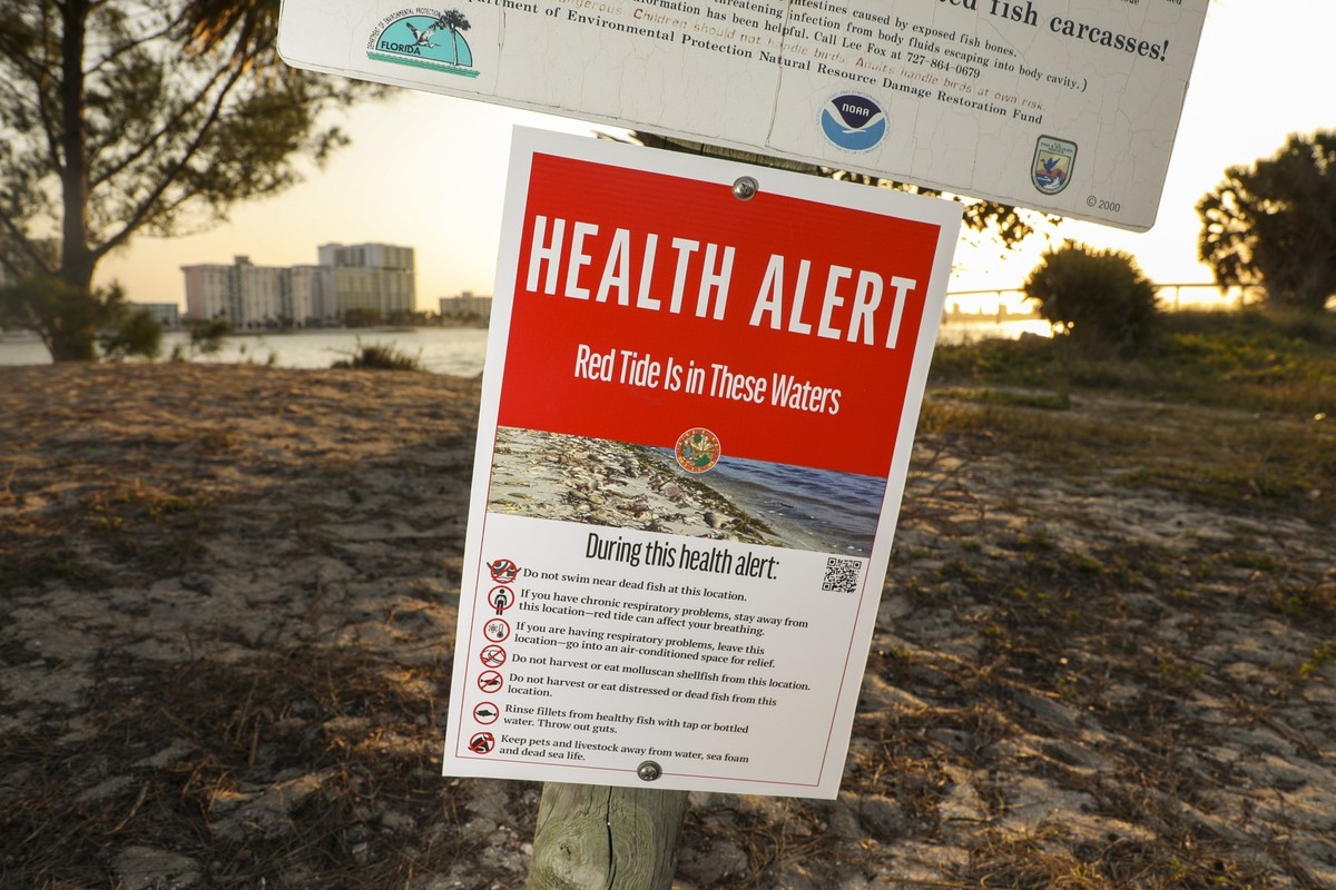 FILE - A health alert sign warns visitors to Sand Key Park of the presence of Red Tide in the surrounding water, March 9, 2023, in Pinellas County, Fla. (Douglas R. Clifford/Tampa Bay Times via AP, Fi ...